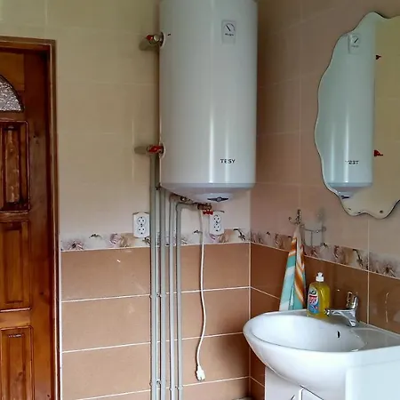 Pensionat мамина хата Mykulytjyn