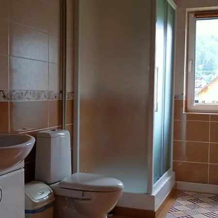 Pensionat мамина хата *